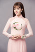 Lovely pastel embroidered ao dai