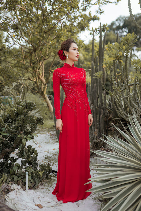 Impressive traditional ao dai beaded