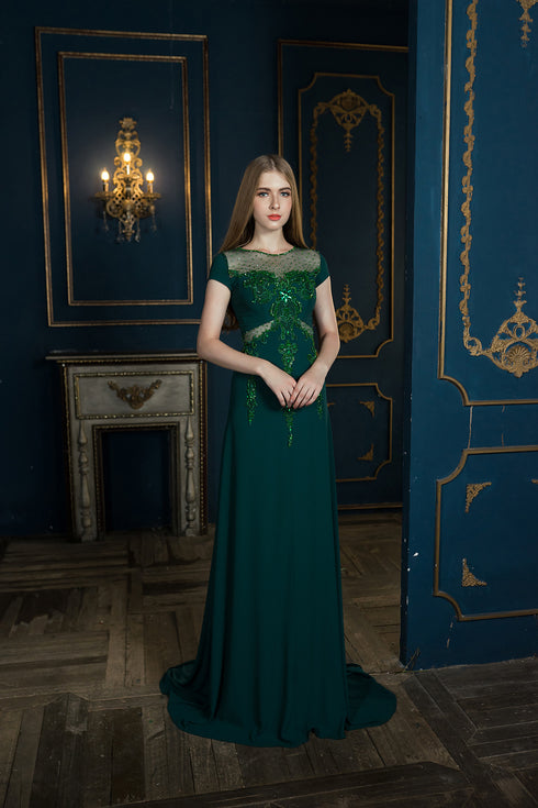 A-line short sleeves with lace embellished dress