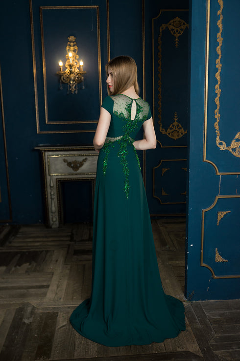 A-line short sleeves with lace embellished dress