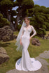 Long sleeves mermaid bridal gown