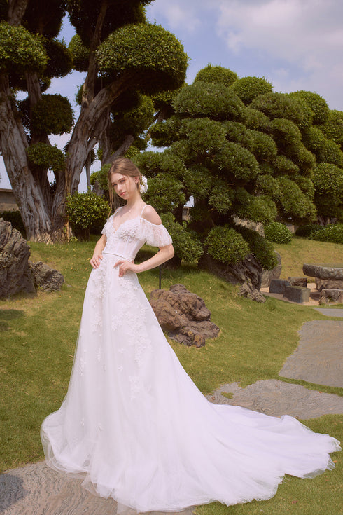 Ball gown embroidery lace dress